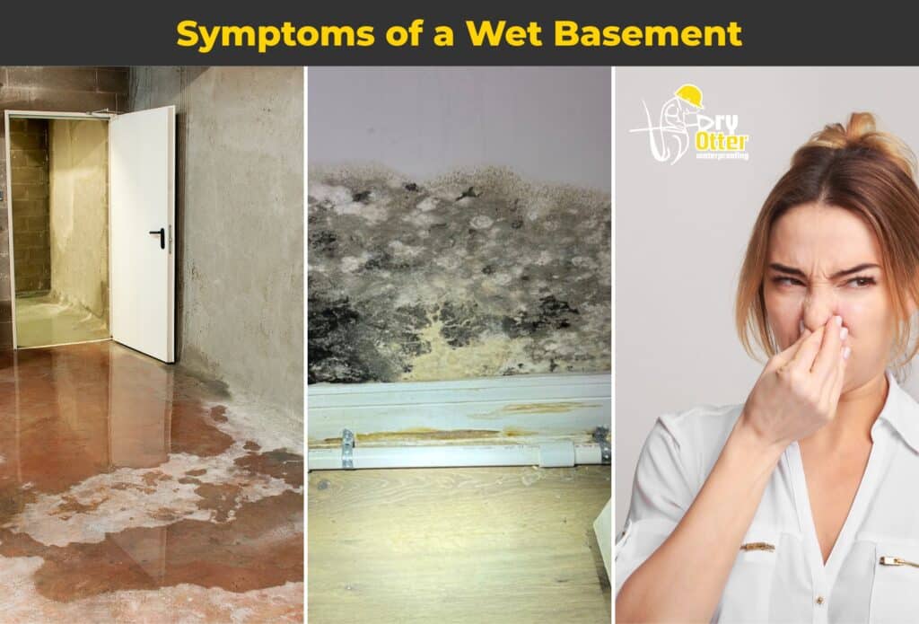 Basement mold remediation